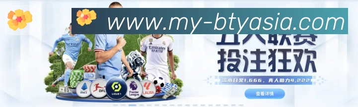 互动解说服务